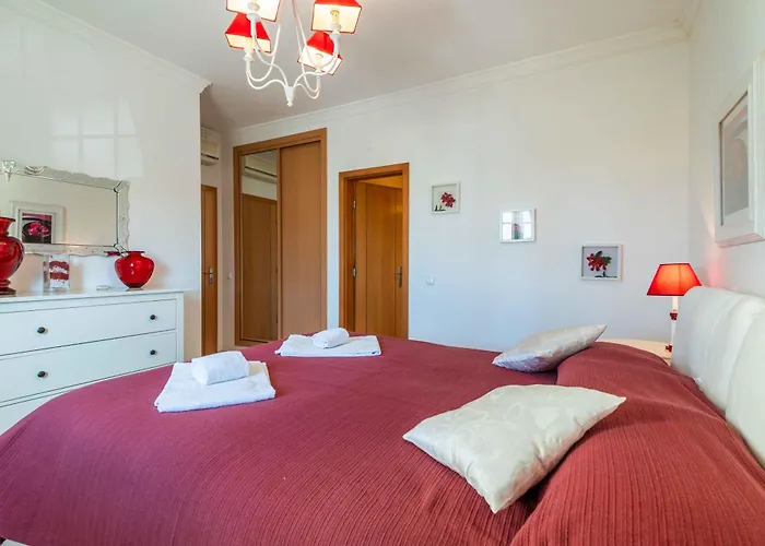 Bosque Sao Jose By Algarneto