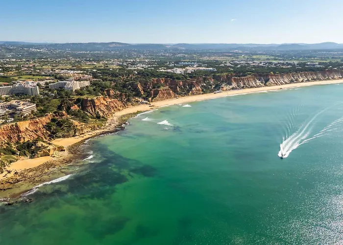 Bosque Sao Jose By Algarneto