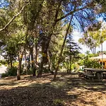 Bosque Sao Jose By Algarneto 4* Albufeira